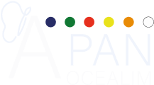 Logo APAN Blanc